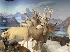 -陕西自然博物馆