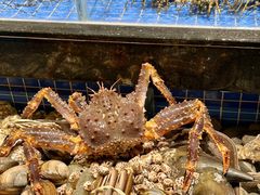 -青蓬蒸汽海鲜·深圳老字号·团建聚会(壹方城店)