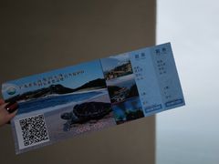 -广东惠东海龟国家级自然保护区