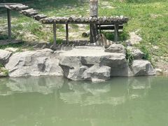 -宁波野生动物园