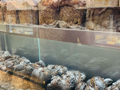飓风熔岩巧克力吐司-糖涩(新佳丽店)