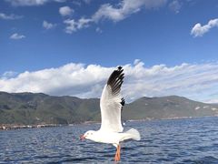 -丽江泸沽湖景区