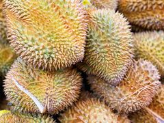 -西郊国际农产品交易中心