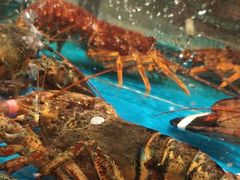 -海铺·渔家虾水饺(皇姑店)