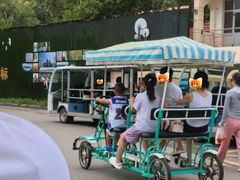 -日照海滨国家森林公园