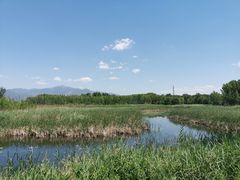 -野鸭湖国家湿地公园