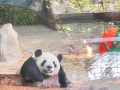 -海南热带野生动植物园