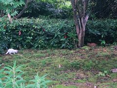 -金山公园