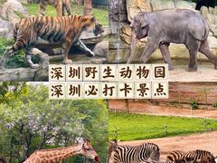 -深圳野生动物园