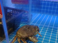 -七欣天香辣蟹火锅(南京桥北太平店)