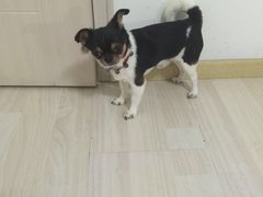 -纳吉亚猫专科动物医院博雅分院