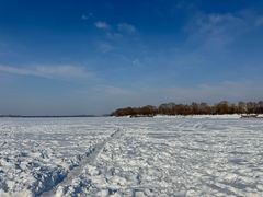 -丁香湖公园