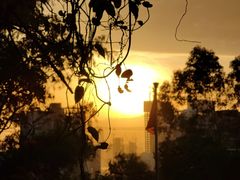 -深圳国际园林花卉博览园