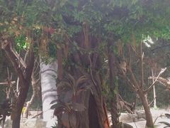 -苏州海洋馆