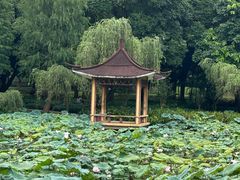 -紫马岭公园