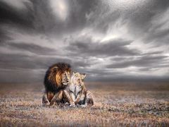 -罗红摄影艺术馆