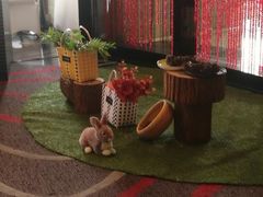 -青岛富力艾美酒店