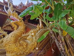 -西双版纳总佛寺