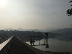 -奇香海鲜酒楼