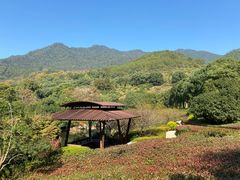 -逸廊大堂吧-下午茶·简餐-千岛湖自由洲际殿
