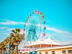 -巨鹏飞梦幻海岸