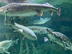 -华夏文旅海洋公园