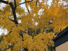 -无锡惠山寺
