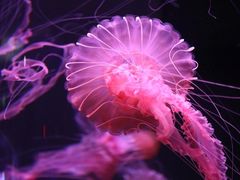 -成都浩海立方海洋公园