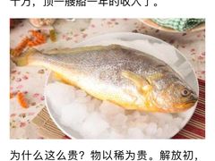 -西郊5号·Maggie 5