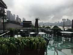 -陶然居·重庆菜(南滨路店)