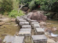 -广州白江湖森林公园