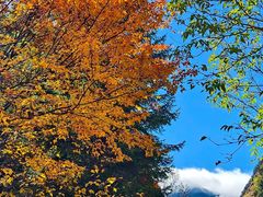 -阿坝州汶川特别旅游区