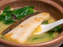 黄皮老虎斑-誉珑轩
