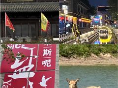 -盐城丹顶鹤湿地生态旅游区
