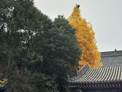 -西安市广仁寺