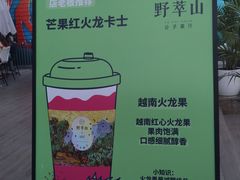 -野萃山·潮汕厚果汁(十亩地店)