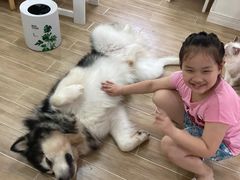 -李小姐の猫咖啡馆(五角场店)
