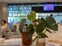 -眉州东坡(华联万柳店)