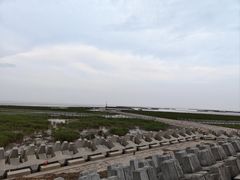 -南汇嘴观海公园