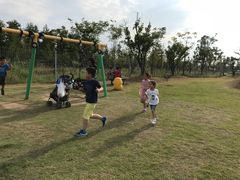 -上海长兴岛郊野公园