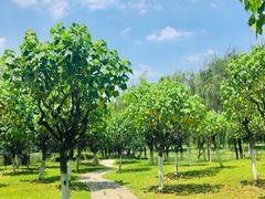 -成都中医药大学(温江校区)