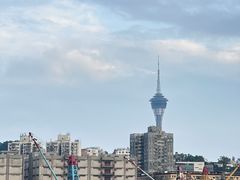 -澳门环岛游湾仔码头