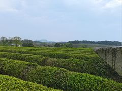 -凤凰沟景区
