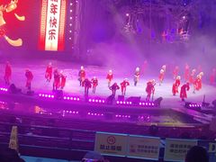 -广州长隆国际大马戏