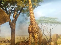 -陕西自然博物馆