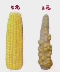 -星港国际·Skin皮肤专研·皮肤管理