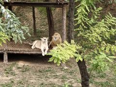 -石家庄市动物园