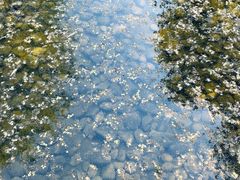 -中国艺术研究院油画院