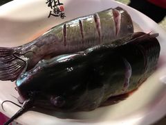 -粗粮人家·东北菜(洋桥店)