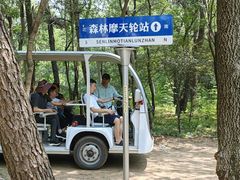 -日照海滨国家森林公园
